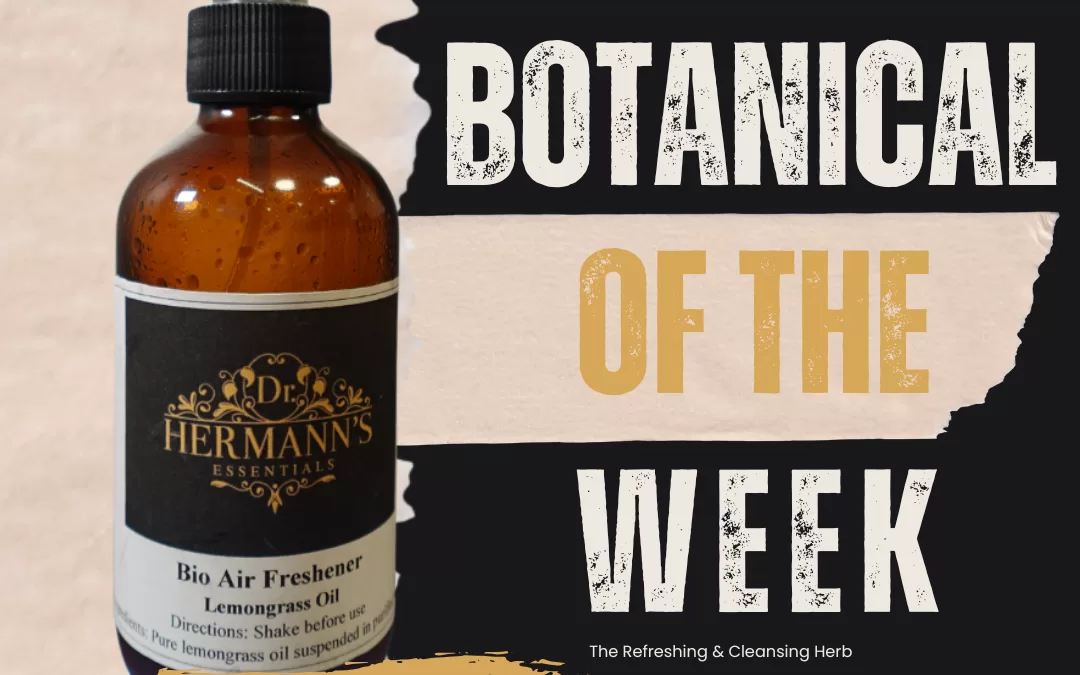Lemongrass: The Zesty All-Rounder for Home and Wellness