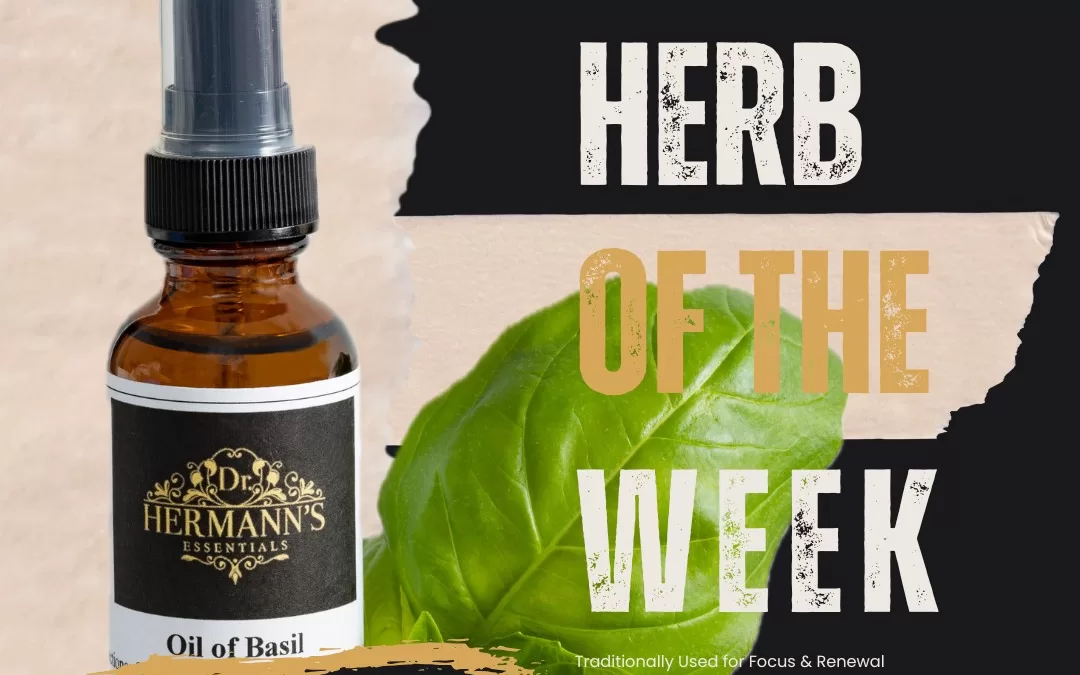 Basil: The Sacred Herb of Clarity, Calm & Culinary Delight