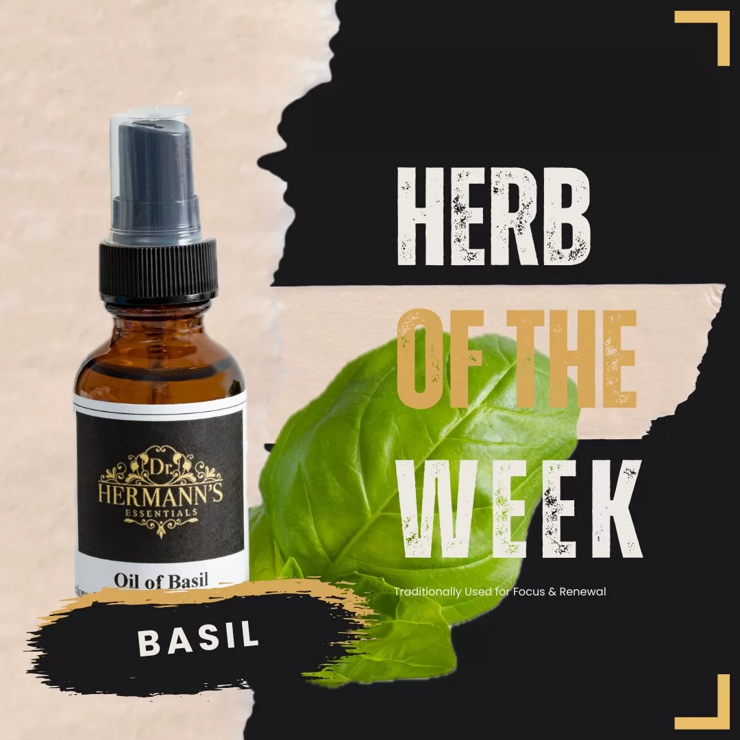 Herb of the Week Basil