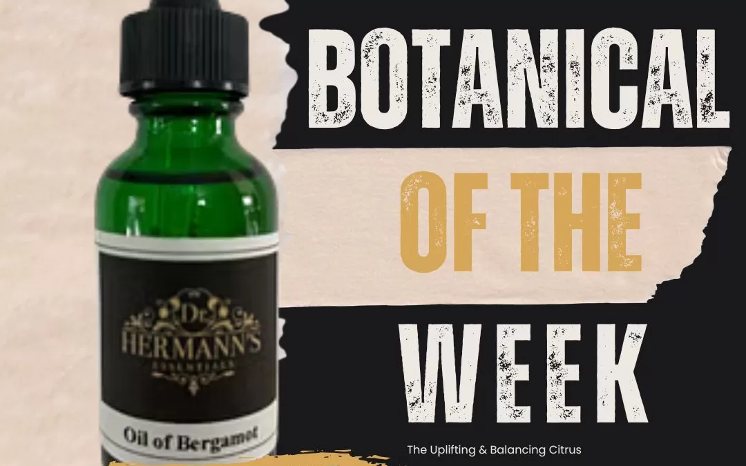 Bergamot: The Uplifting Citrus That Calms the Spirit